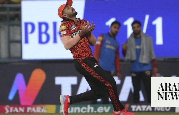 Hyderabad beats Punjab by 2 runs in IPL despite dropping 3 catches in final over