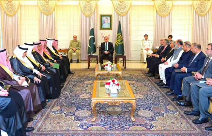 Pakistan pushes to forge strategic, economic partnership as Saudi FM visits Islamabad