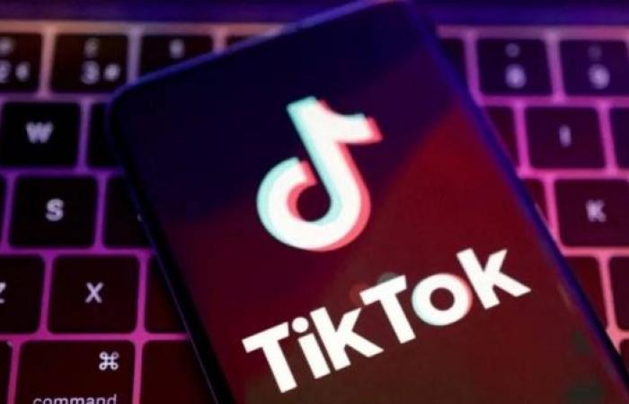 TikTok warns US ban would ‘trample free speech’