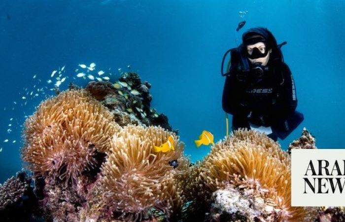 KAUST professor honored for coral-restoration efforts