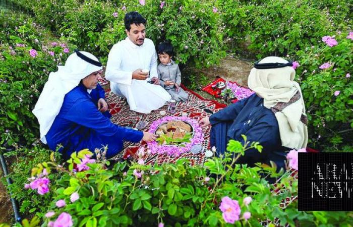 Taif’s rose farms bloom into global fragrance production hub