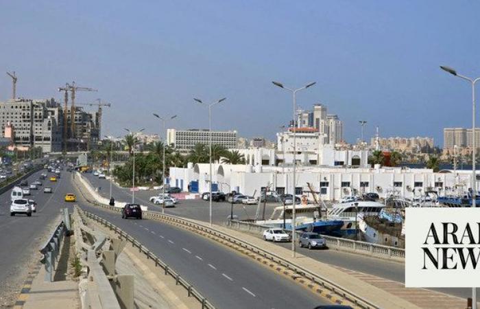 UN urges probe into Libyan activist’s death in custody