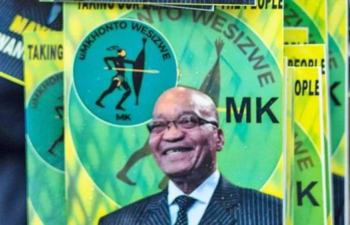 South Africa election: ANC loses battle for Zuma's MK party name and logo