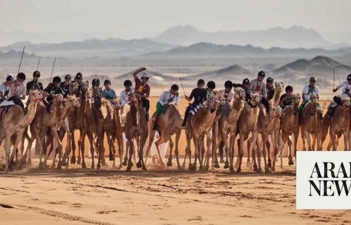 AlUla Camel Cup promises a one-of-a-kind experience
