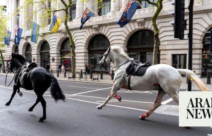 Four injured as escaped army horses bolt through central London