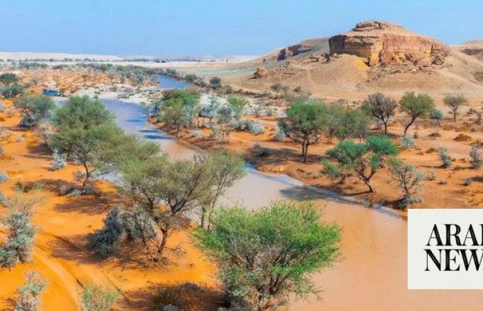 Hima forum concludes following conservation discussions in Riyadh
