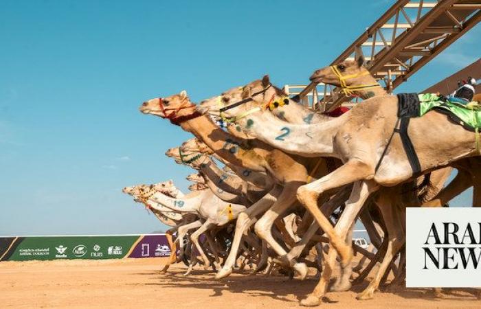 Saudi, UAE and Qatar secure wins on second day of AlUla Camel Cup