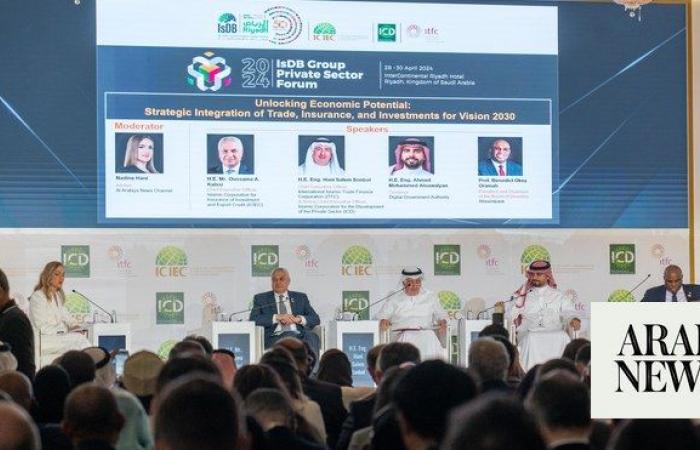 Digital advancements propelling Saudi Arabia toward Vision 2030 goals: top official 