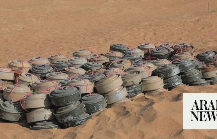 Saudi project clears 797 Houthi mines in Yemen