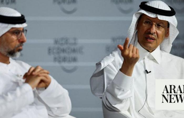 Saudi Arabia, UAE have world’s most ambitious decarbonization programs: WEF panel