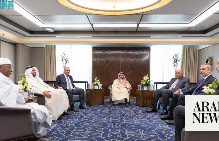 Saudi FM leads Gaza committee urging sanctions on Israel