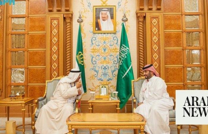 Saudi crown prince receives leaders on sidelines of special WEF meeting