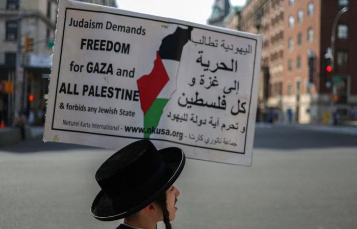 Rights groups say pro-Palestinian demos ‘repressed’ in Europe