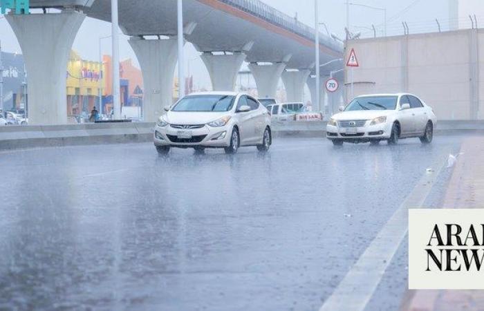 Riyadh schools switch to remote learning as stormy weather continues