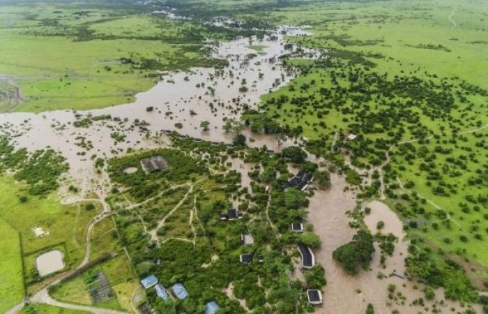 Visitors stranded at Kenya nature reserve as devastating floods kill nearly 200 