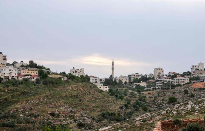 Guns and sheep: settlers use shepherding outposts to seize West Bank land