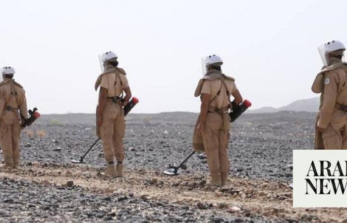 Saudi project clears 719 Houthi mines in Yemen