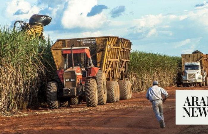 UAE’s Mubadala Capital plans $13.5bn investment in Brazil’s biofuel sector 