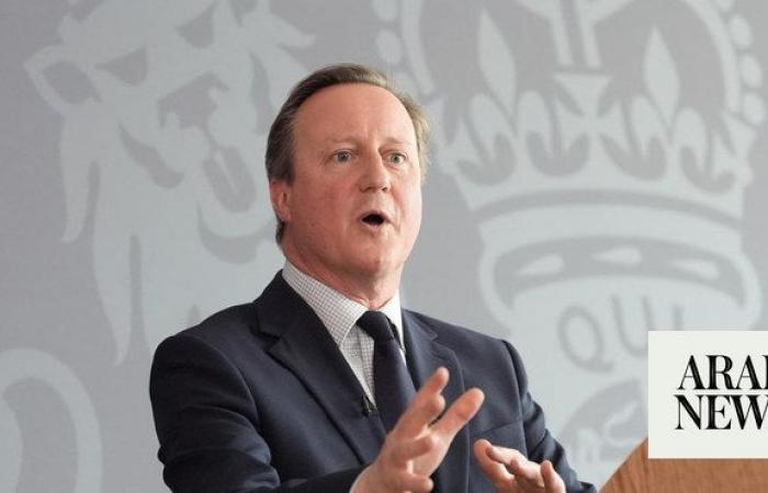 UK system of arms exports to Israel not the same as US, Cameron says