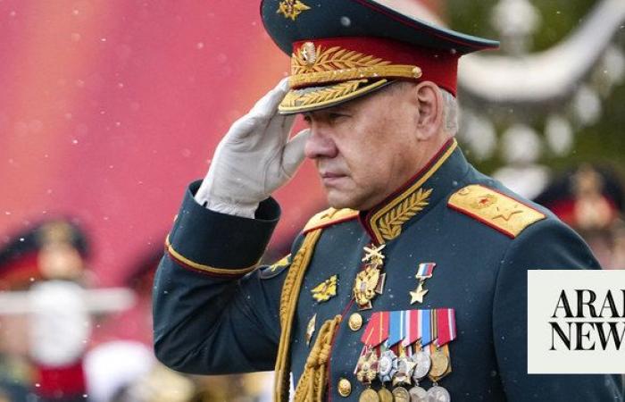 Putin removes defense minister Shoigu