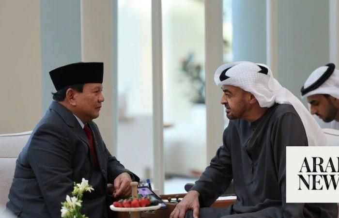 Indonesia’s president-elect seeks to boost defense ties with UAE