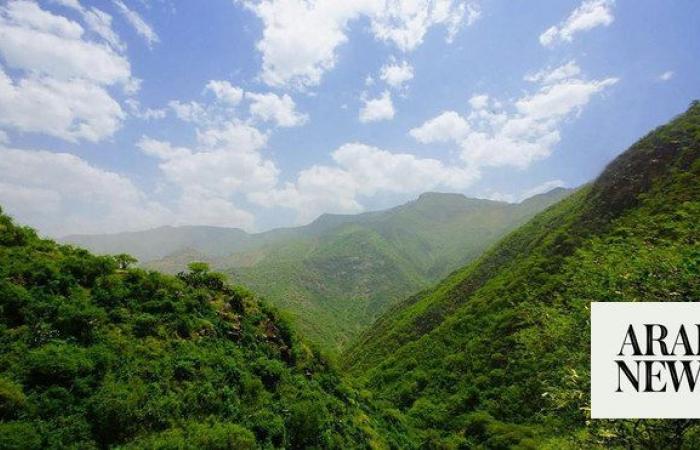 How forest conservation is helping Saudi Arabia achieve its green objectives