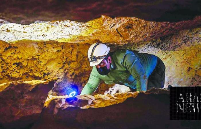 Wildlife center to explore caves in Saudi Arabia’s north
