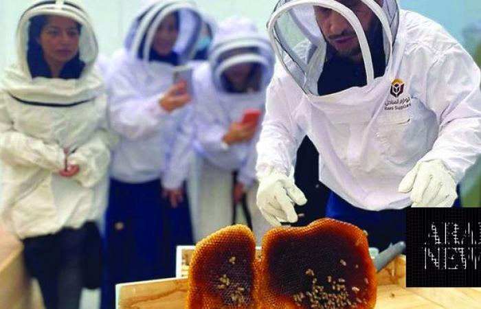 Saudi Reef program provides $37.3m of support to Kingdom’s honey industry