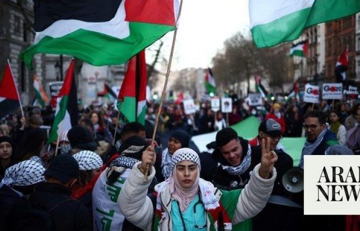 UK Labour Party will pursue recognition of Palestine once in power: Shadow foreign secretary