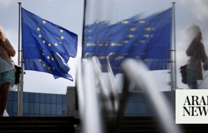 Letter signed by EU staffers states ‘growing concern’ at bloc’s response to Gaza war