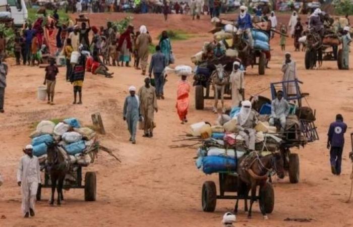 World ignoring risk of Sudan genocide, says UN expert