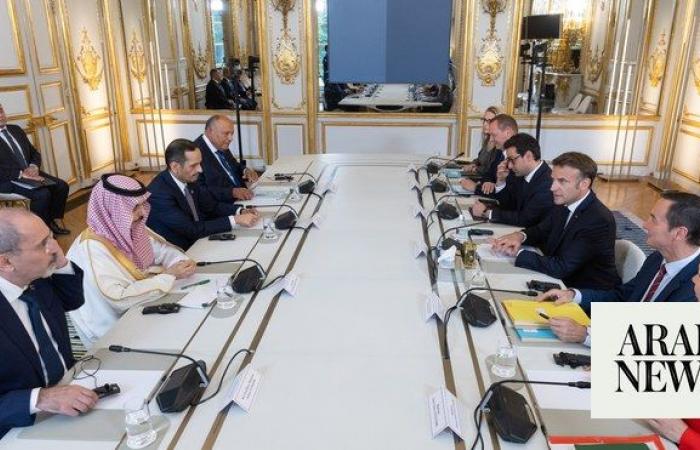 French president Macron meets with Arab delegation to discuss Gaza