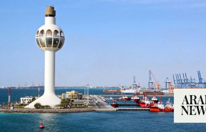 DP World, Mawani launch $250m logistics park project at Jeddah Islamic Port