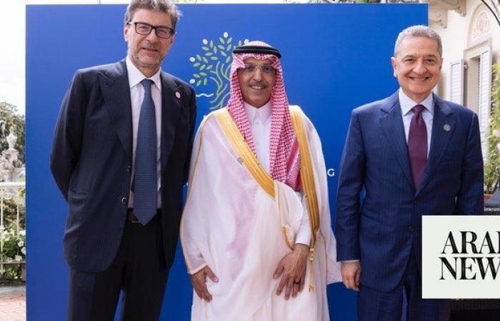 Saudi Arabia to propel global sustainable development through AI, says finance minister