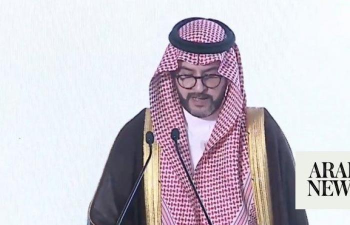 Saudi Arabia focused on promoting energy efficiency: top official