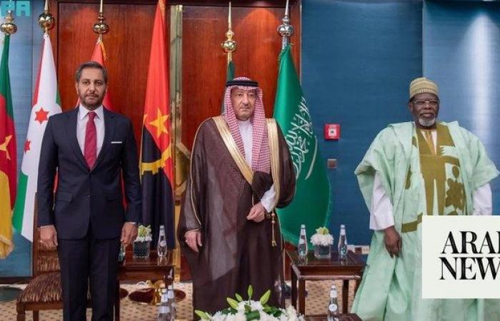 Vice foreign minister attends reception to mark Africa Day