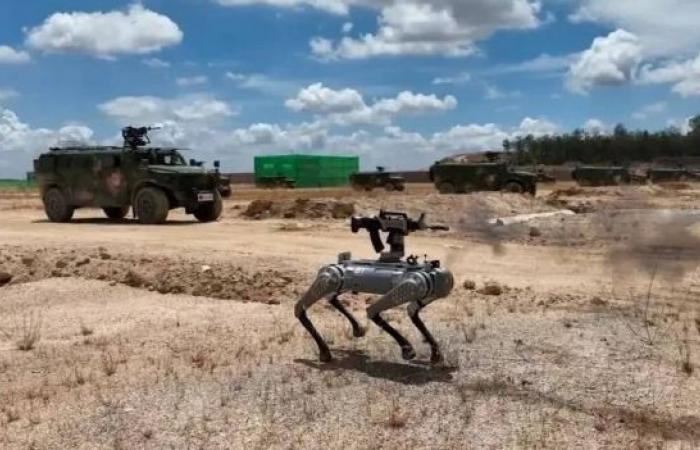 China’s military shows off rifle-toting robot dogs
