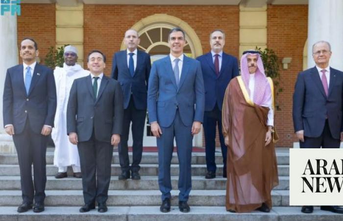 Spanish PM meets Joint Arab-Islamic Ministerial Committee on Gaza in Madrid