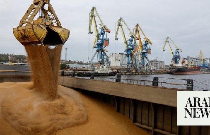 EU states agree ‘prohibitive’ tariffs on Russia grain imports