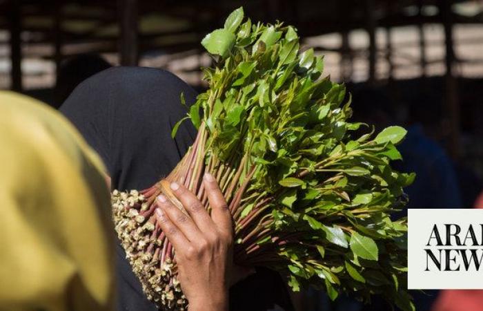 Saudi authorities foil attempt to smuggle 160kg of qat