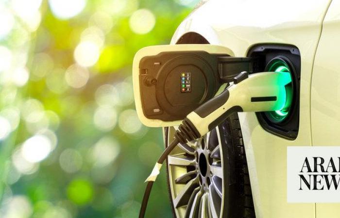 China leading affordable EV market amid global transition challenges: S&P report