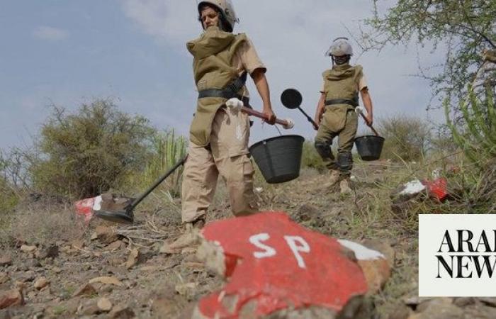 Saudi project clears 1,406 Houthi mines in Yemen