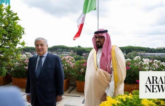 Saudi economy minister meets with senior Italian official