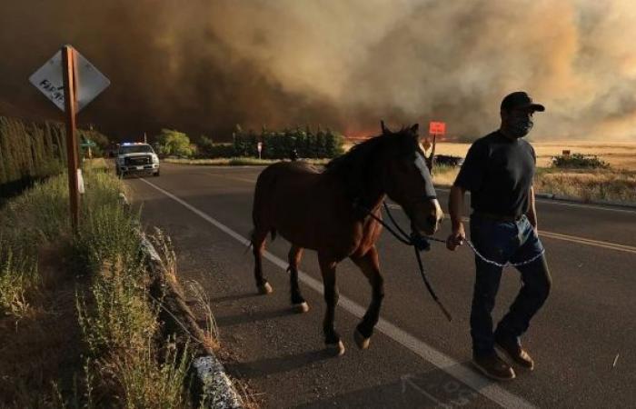 California wildfire spanning 14,000 acres is forcing residents to evacuate