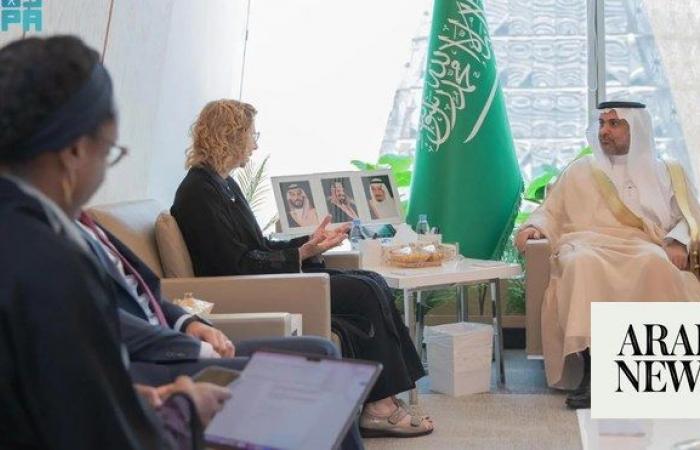 Saudi Health Minister meets executive director of UN Environment Programme