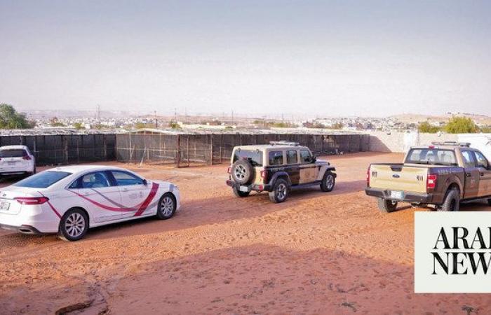 Saudi Arabia’s automotive market surges amid shifting consumer preferences
