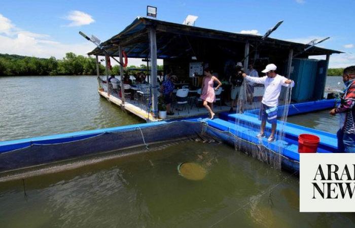 Aquaculture overtakes wild fisheries for first time: UN report
