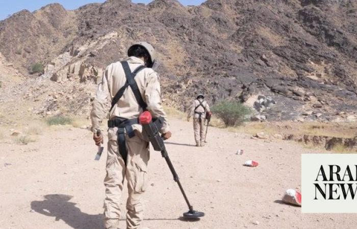 Saudi project clears 1,254 Houthi mines in Yemen