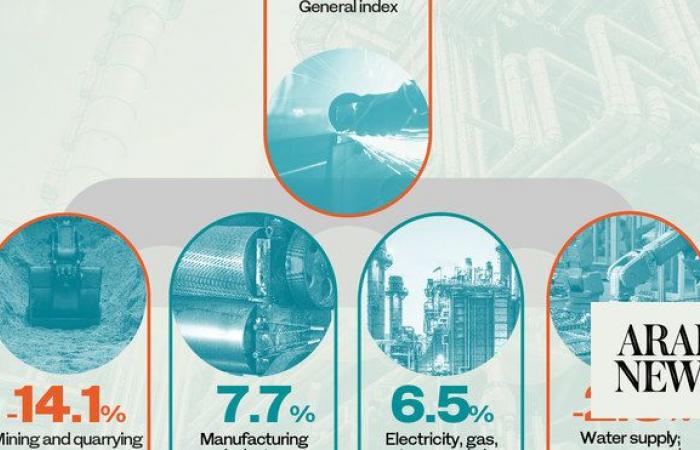 Manufacturing surge boosts Saudi Arabia’s IPI to 105.6 points: GASTAT 