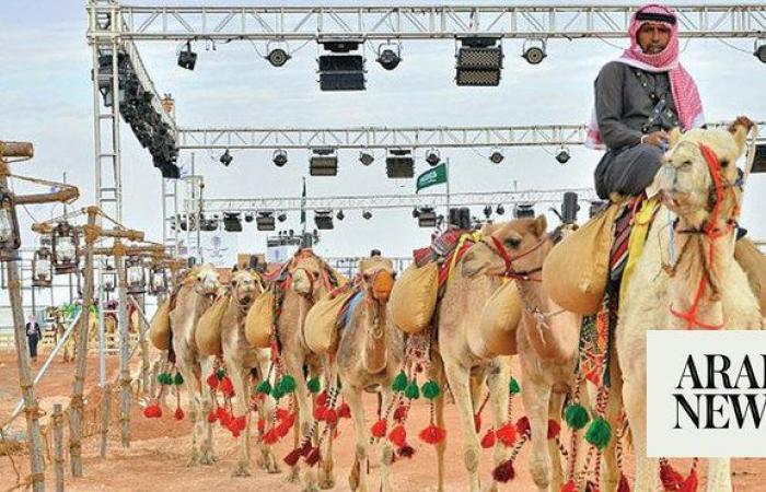 Saudi Culture Ministry launches camel studies grant